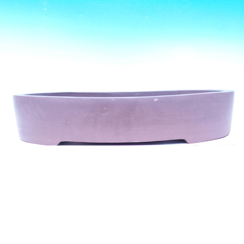 Cuenco bonsái 54 x 43 x 10 cm