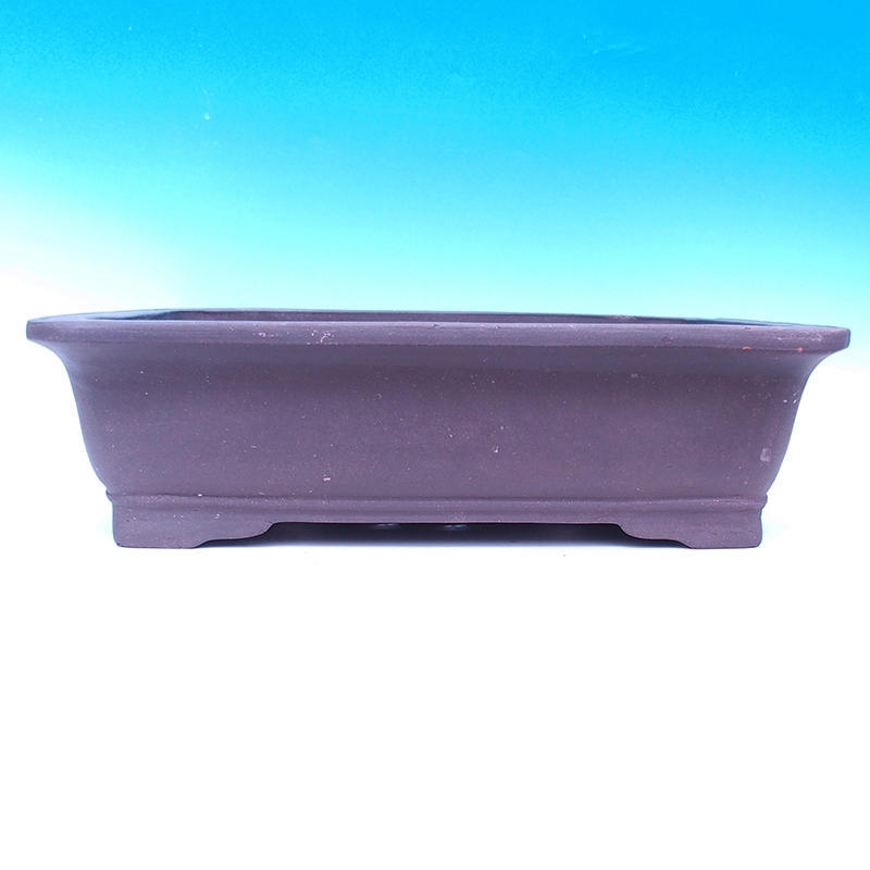 Cuenco bonsái 57 x 45 x 16 cm