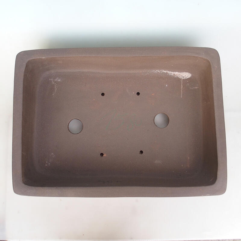 Cuenco bonsái 60 x 43 x 13 cm, color natural