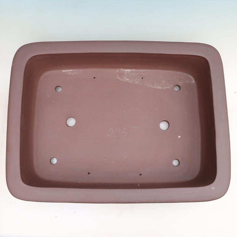 Cuenco bonsái 60 x 45 x 14,5 cm, marrón