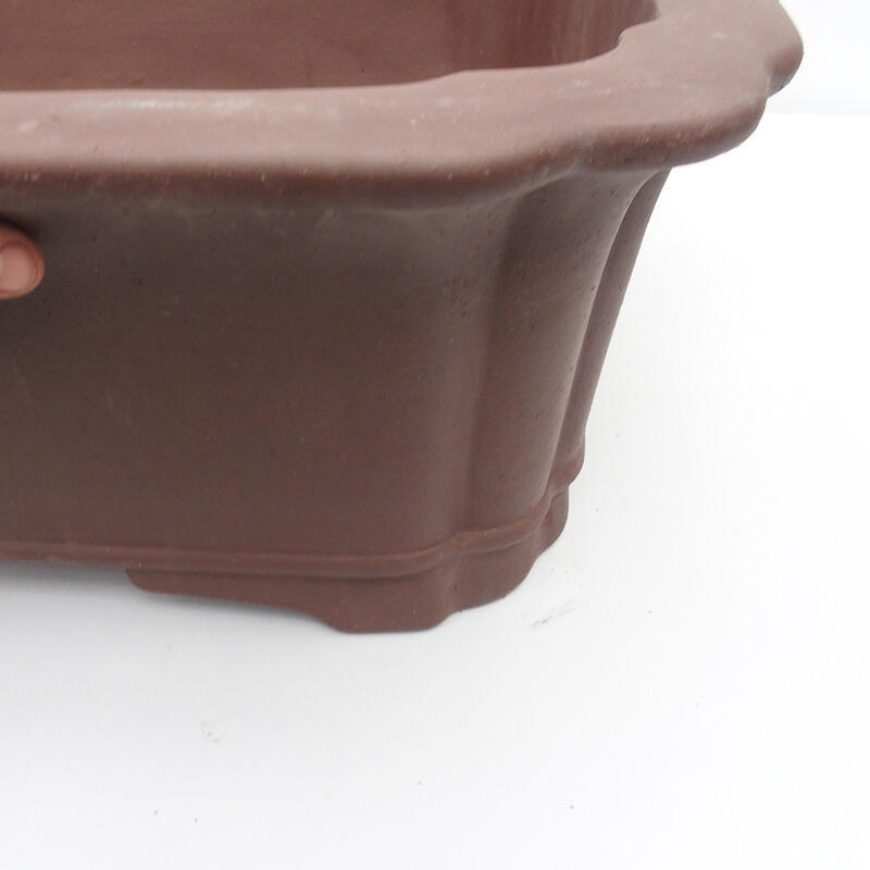 Cuenco para bonsái 76 x 60 x 23 cm - calidad japonesa