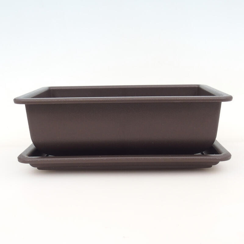 Bonsai bol+bandeja plástico MP-2 - 21,5 x 15,5 x 7,5 cm