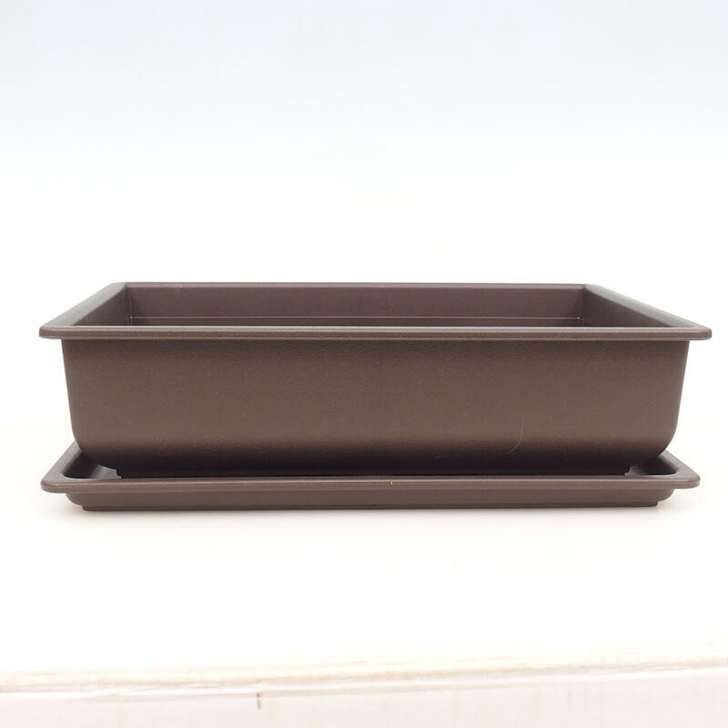 Cuenco para bonsái + bandeja de plástico MP-7 - 34 x 26 x 11cm