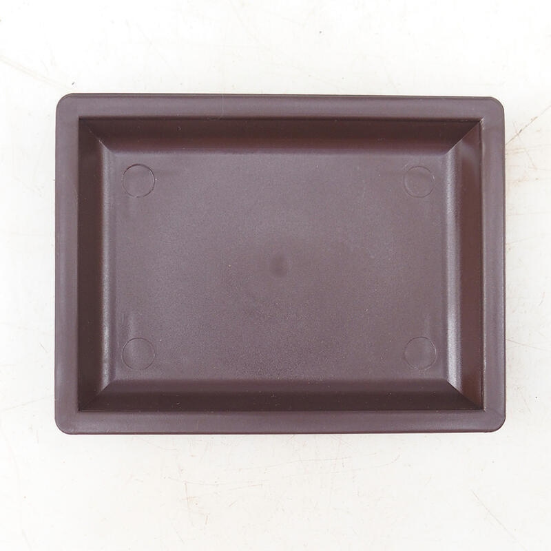 Bandeja de plástico para bonsáis PP-3 - 11 x 8 x 1,5 cm