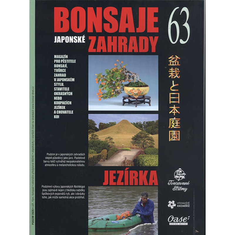 Bonsáis y jardines japoneses nº 63