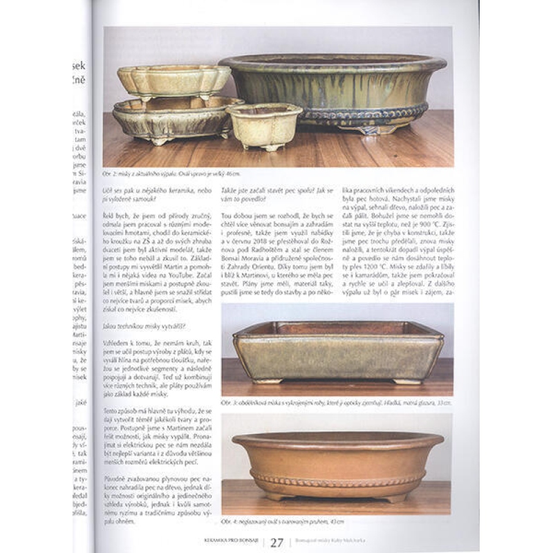 Bonsáis y jardines japoneses nº 63