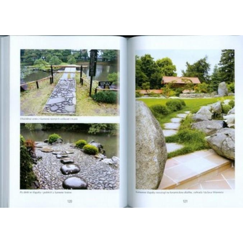 Bonsáis y jardines no sólo en Japón