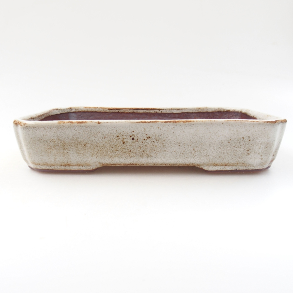 Cuenco bonsái de cerámica 22 x 17 x 5 cm, verde