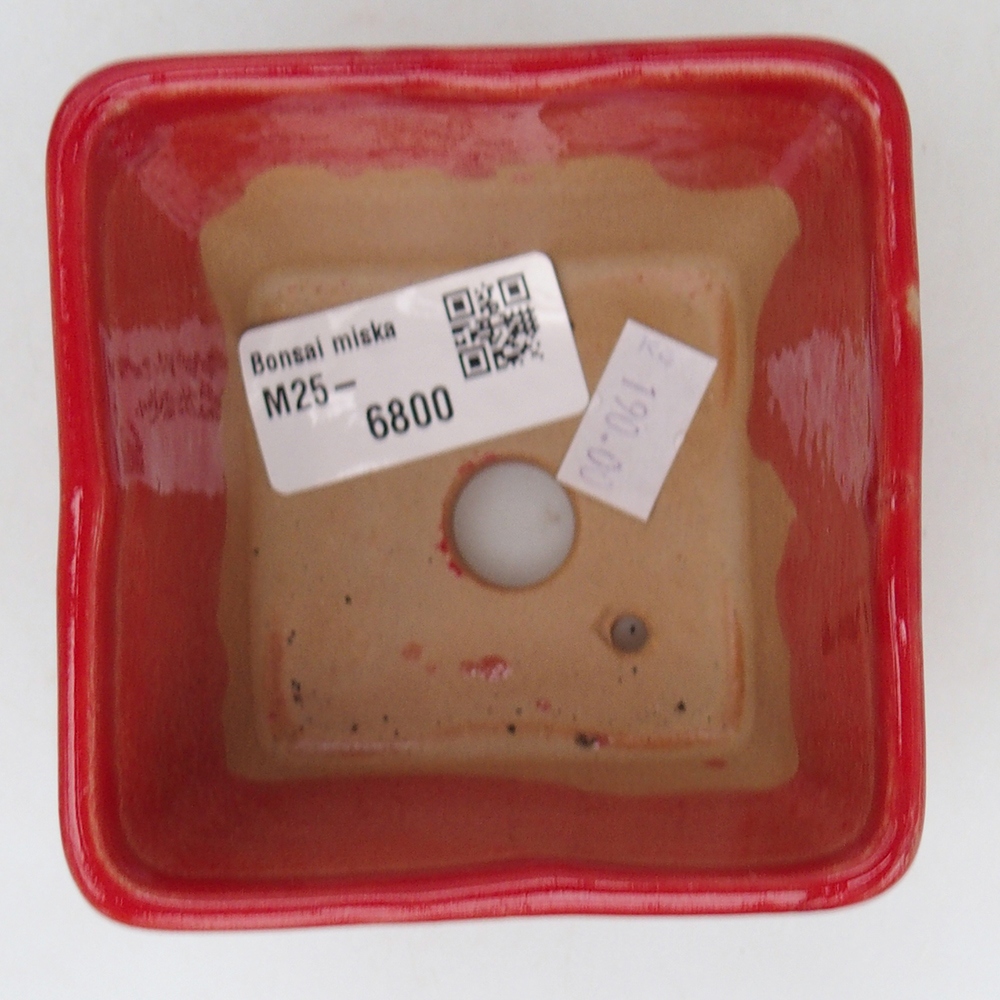Cuenco bonsái de cerámica 8,5 x 8,5 x 6 cm, color rojo