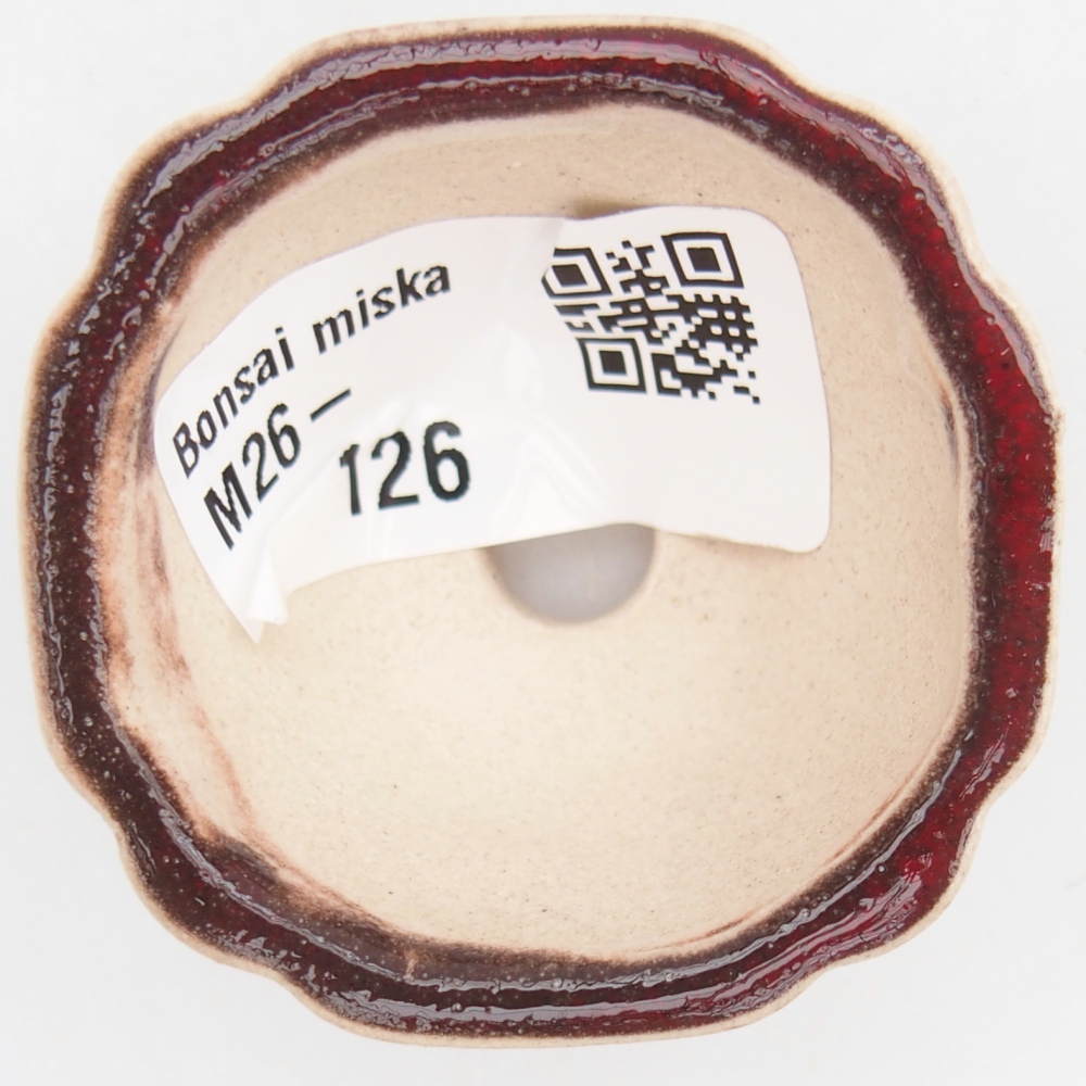 Cuenco mini bonsái 4,5 x 4,5 x 2,5 cm, color rojo