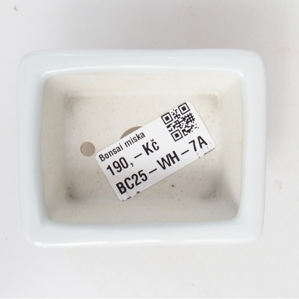Mini cuenco bonsái 8 x 6 x 3 cm, blanco