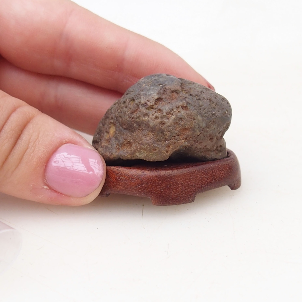 Suiseki - Piedra con DAI (base de madera)