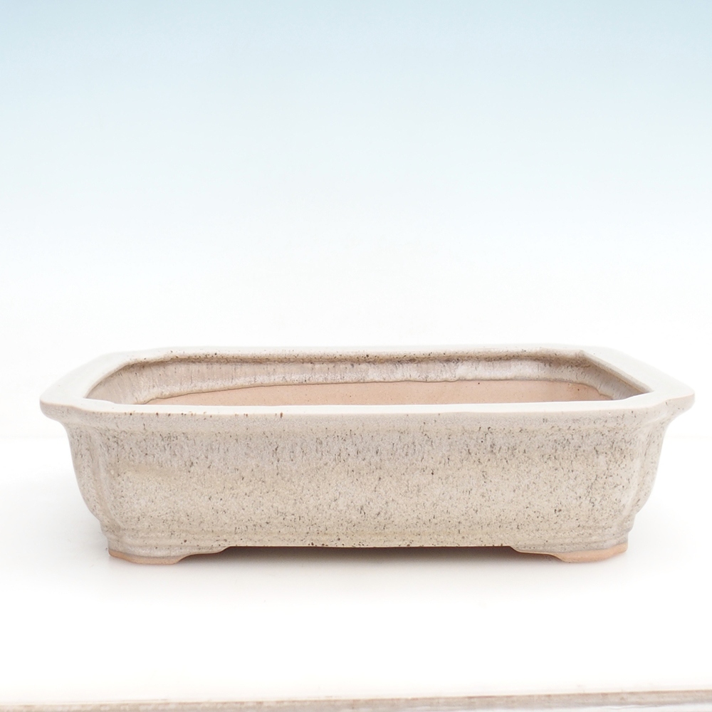 Cuenco para bonsái H07 - 30 x 20,5 x 8 cm.