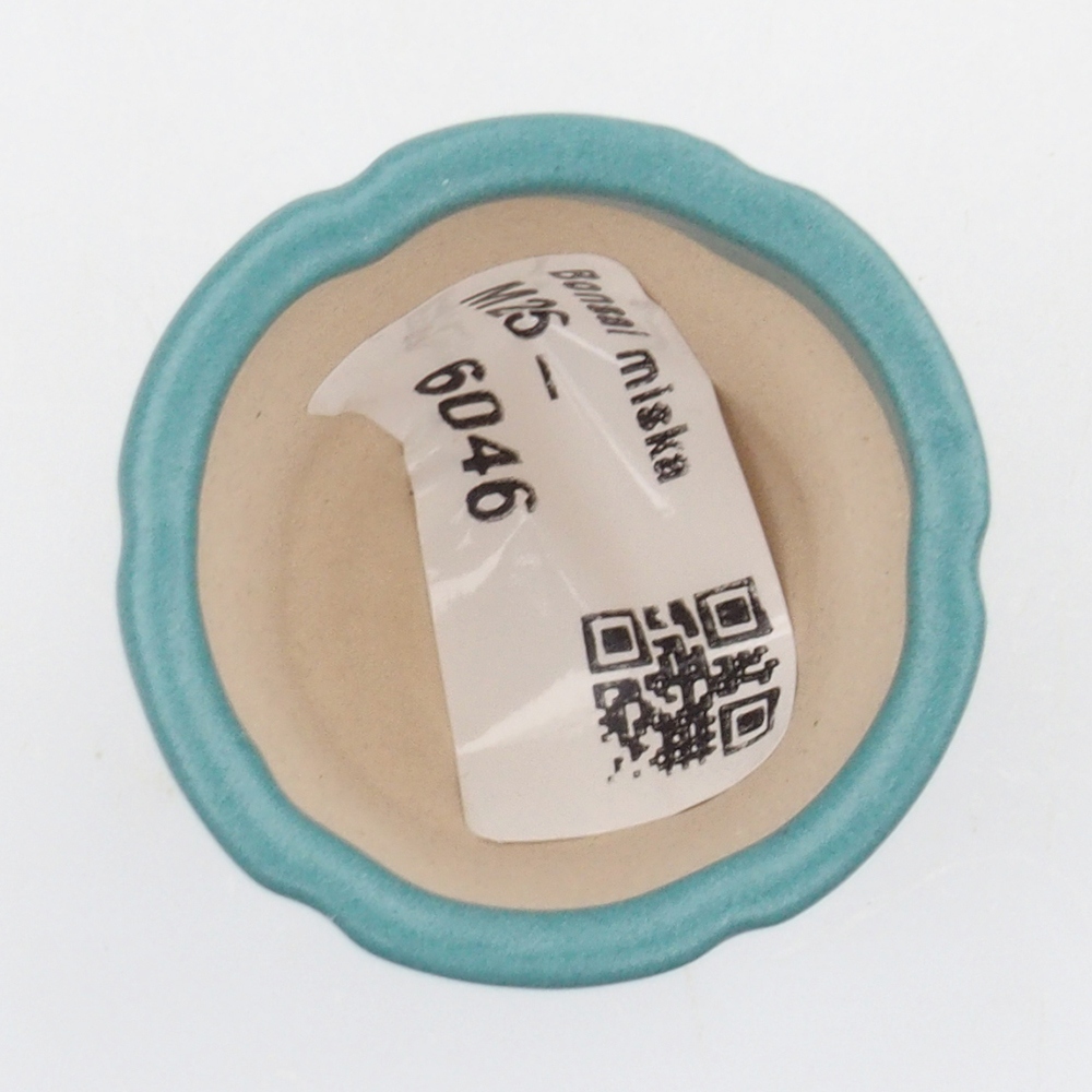 Cuenco bonsái de cerámica 6,5 x 5,5 x 4 cm, color azul