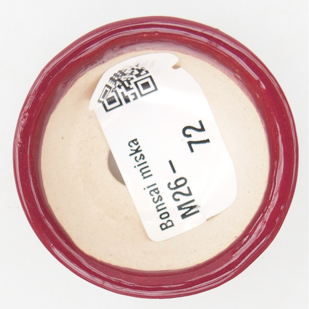 Cuenco mini bonsái 4,5 x 4,5 x 2,5 cm, burdeos