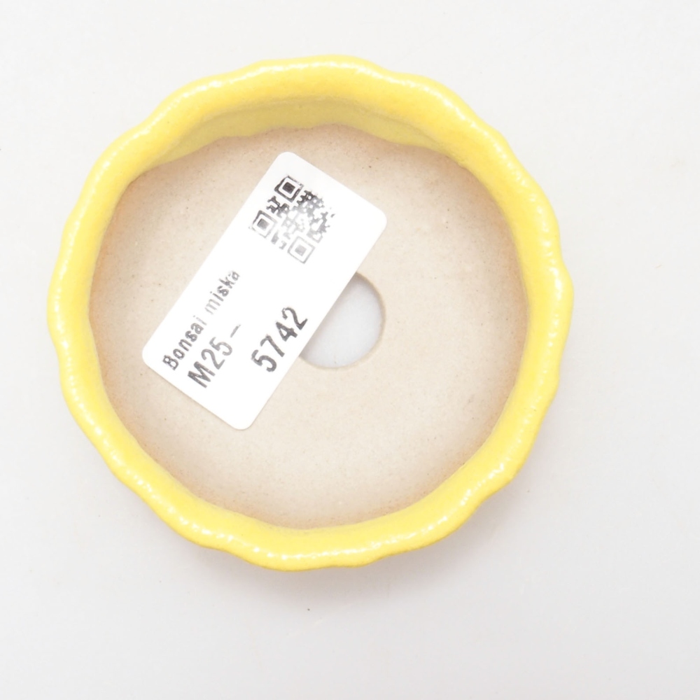 Cuenco bonsái de cerámica 7 x 7 x 2 cm, amarillo