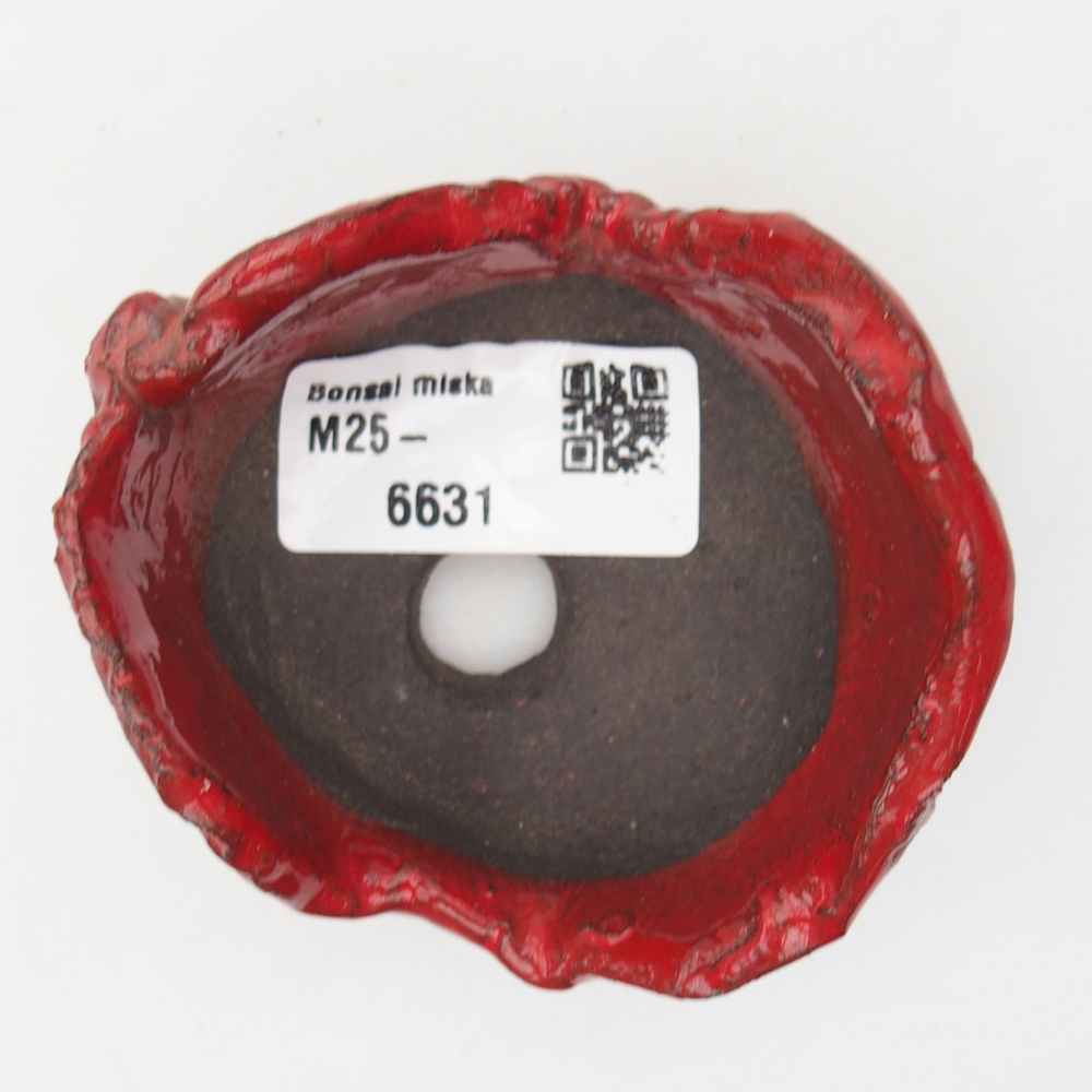 Concha de cerámica 7,5 x 7 x 4,5 cm , color rojo