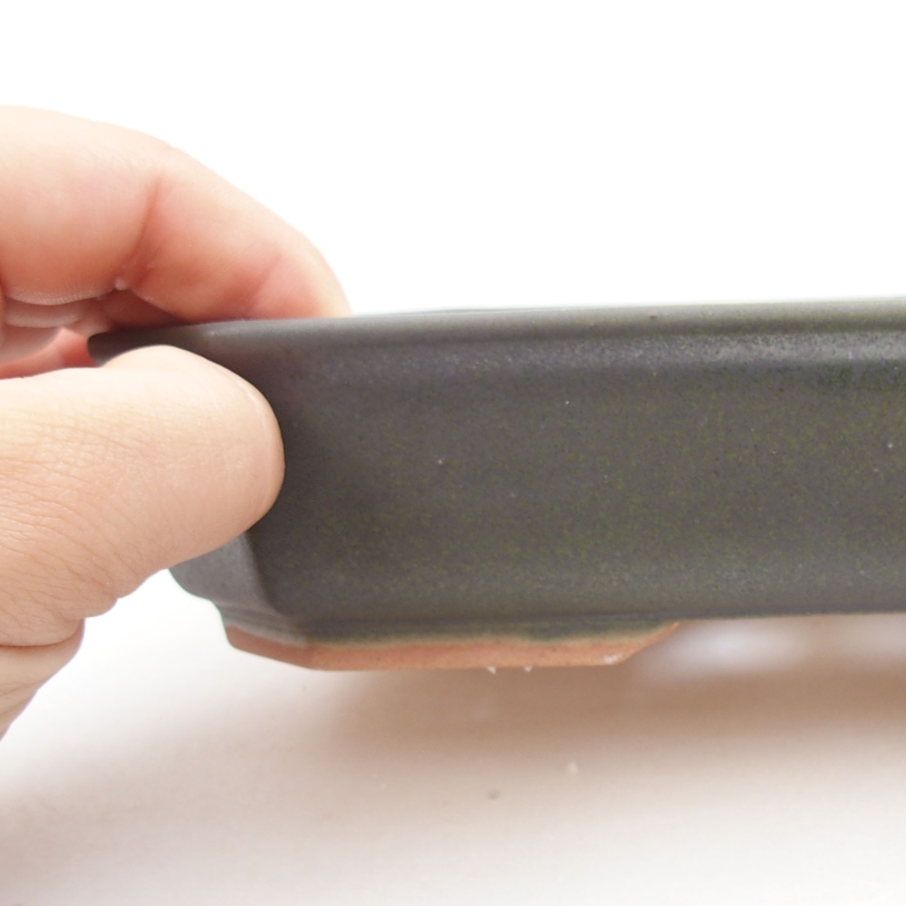 Cuenco bonsái de cerámica 22 x 17 x 5 cm, verde