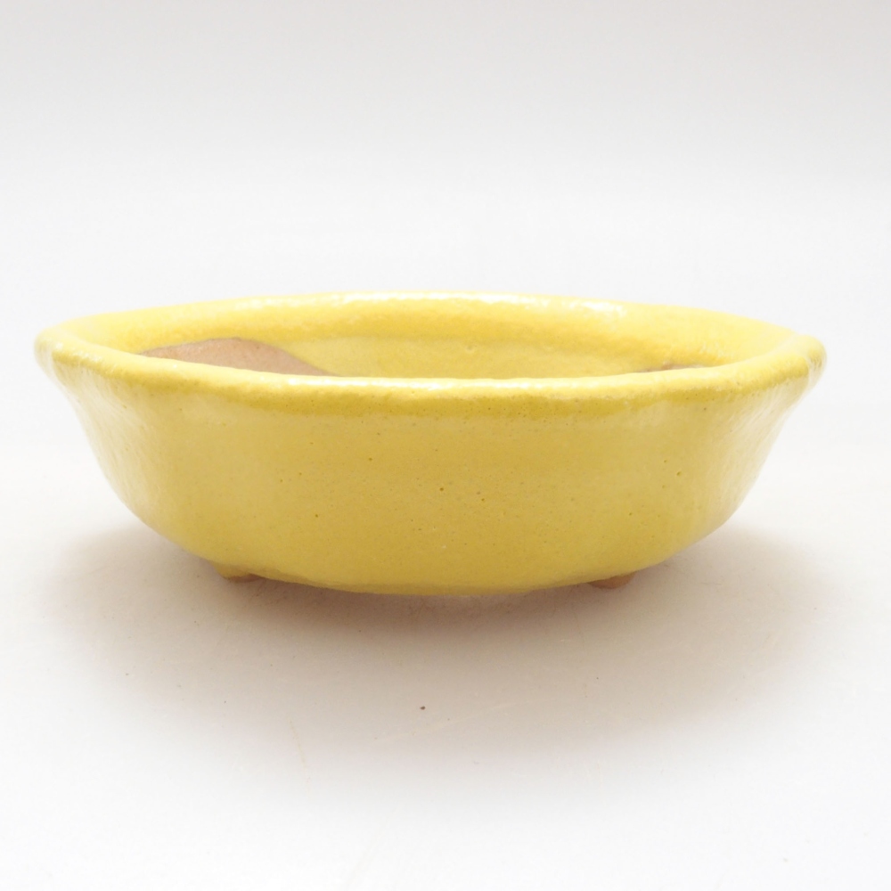 Cuenco bonsái de cerámica 7 x 7 x 2 cm, amarillo
