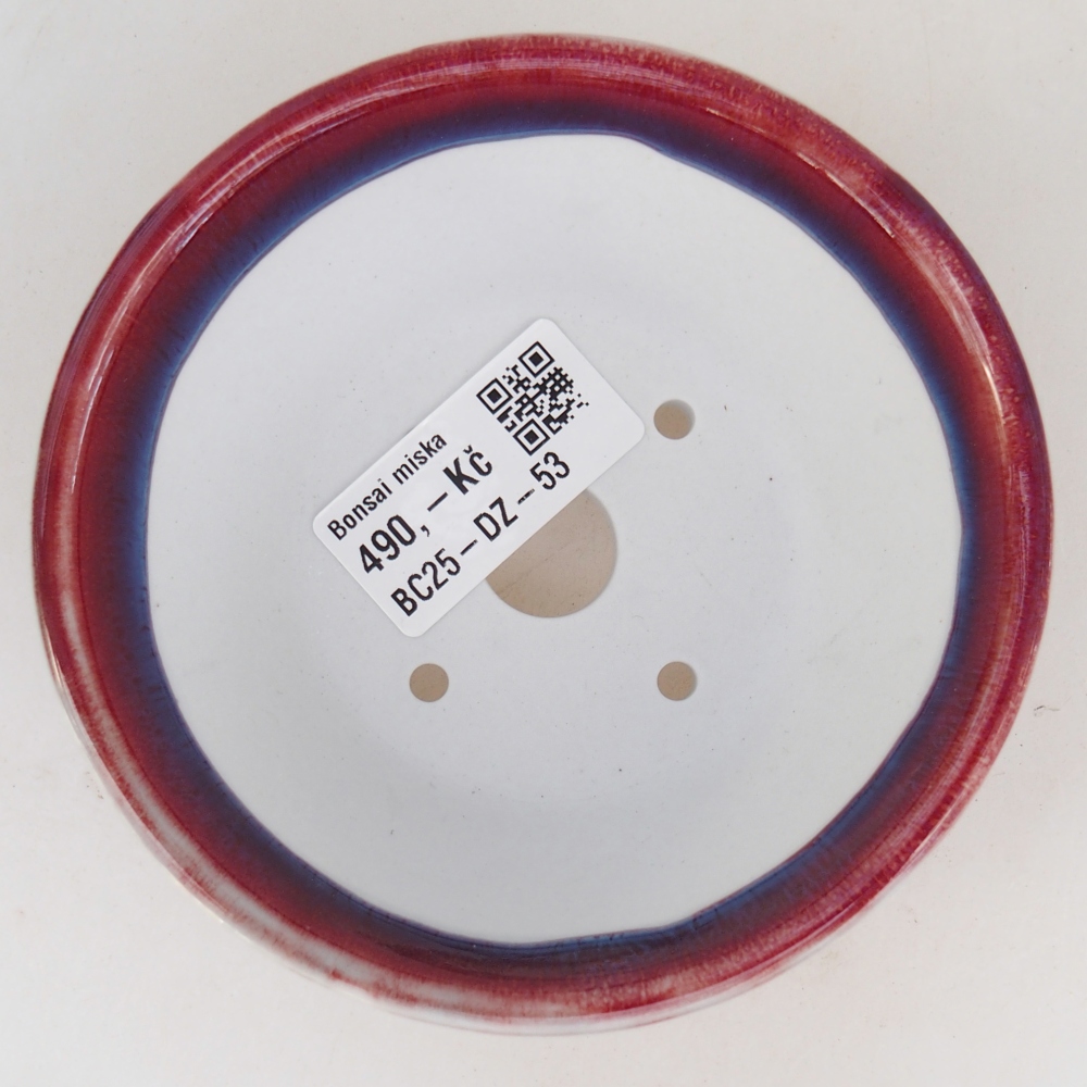 Cuenco bonsái de cerámica 10,5 x 10,5 x 5 cm, color morado