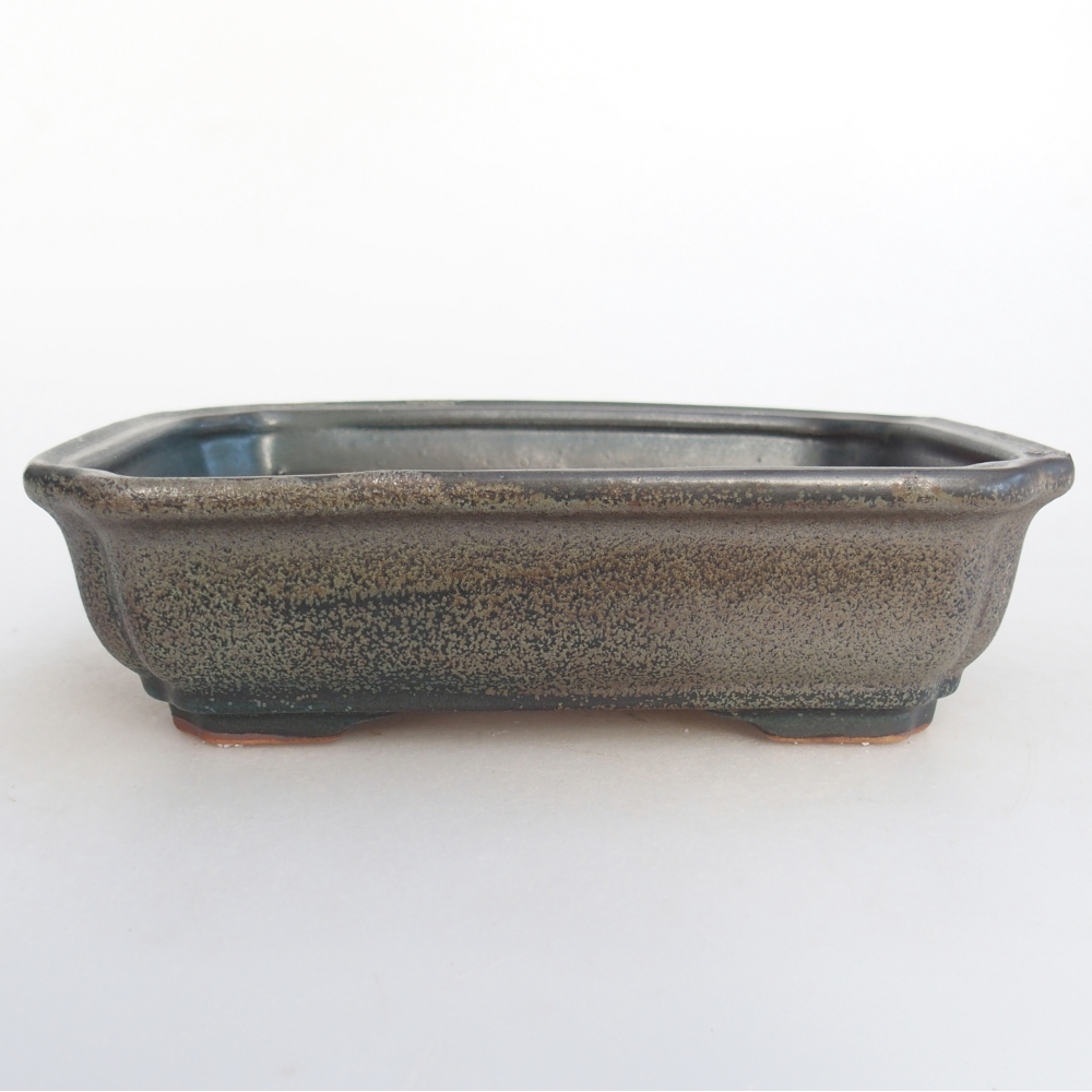 Cuenco bonsái de cerámica 18 x 13,5 x 5 cm, gris