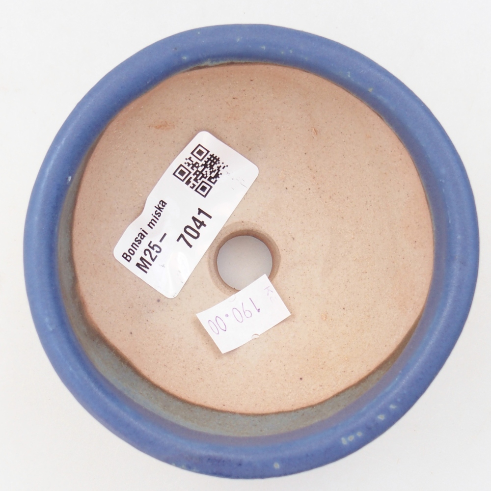 Cuenco bonsái de cerámica 9,5 x 9,5 x 5 cm, color azul