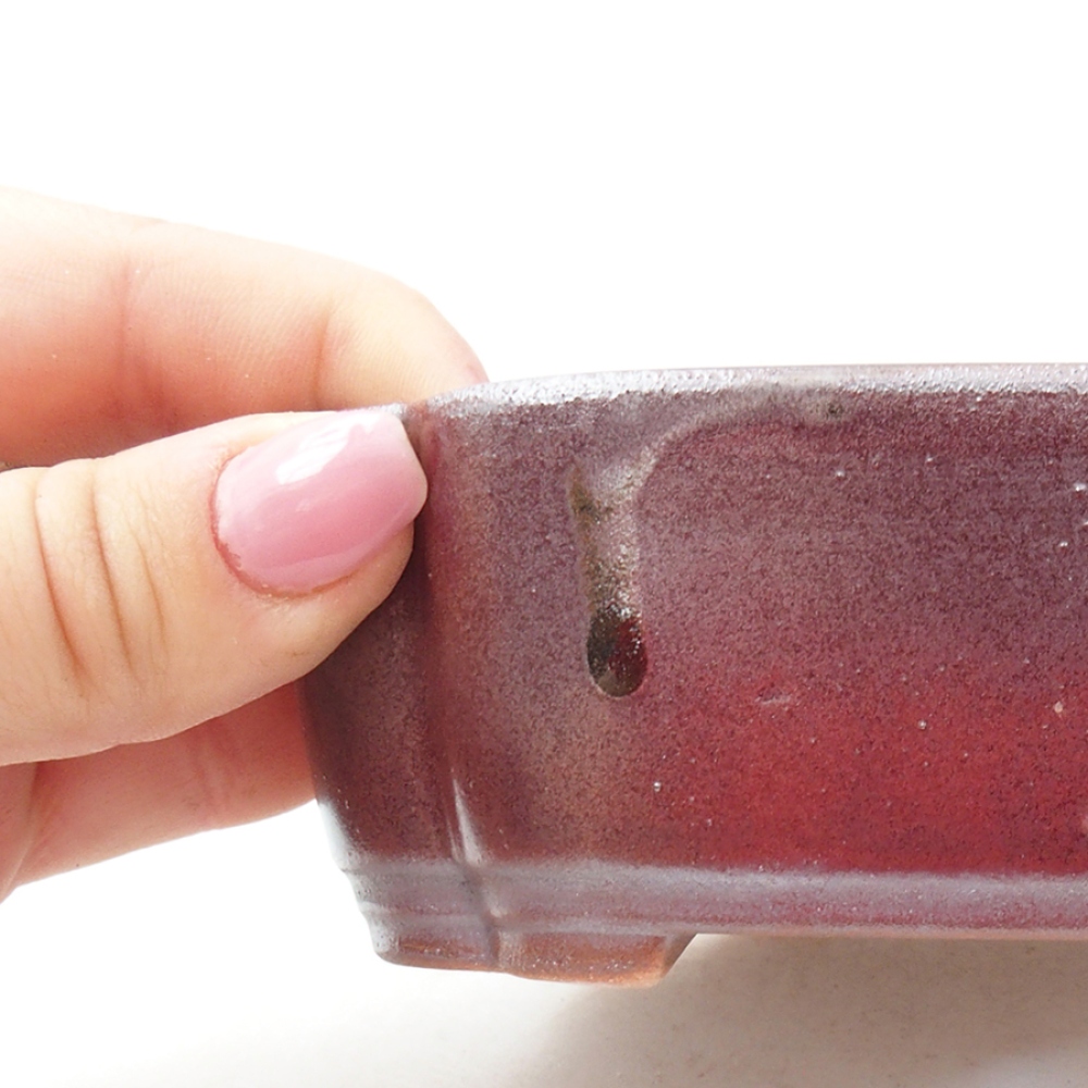 Cuenco bonsái de cerámica 15 x 11,5 x 4,5 cm, marrón