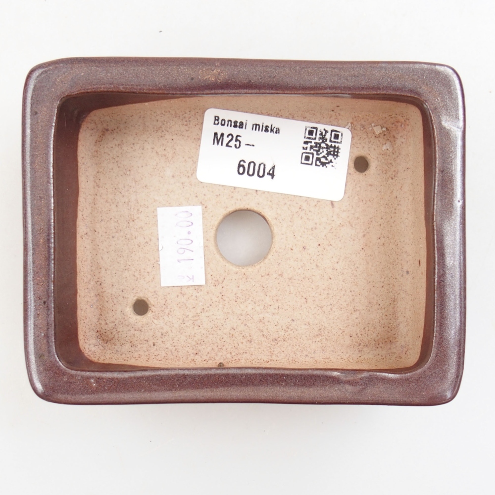 Cuenco bonsái de cerámica 22 x 17 x 5 cm, verde