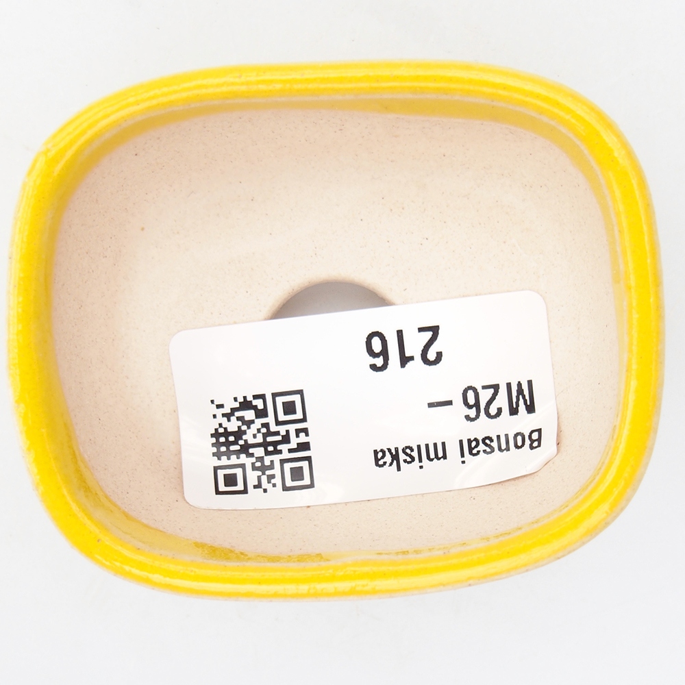 Cuenco mini bonsái 6 x 5 x 2,5 cm, amarillo