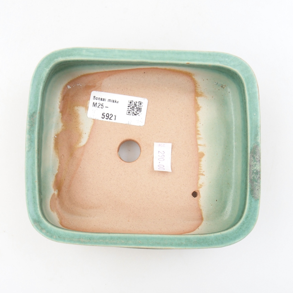 Cuenco bonsái de cerámica 22 x 17 x 5 cm, verde