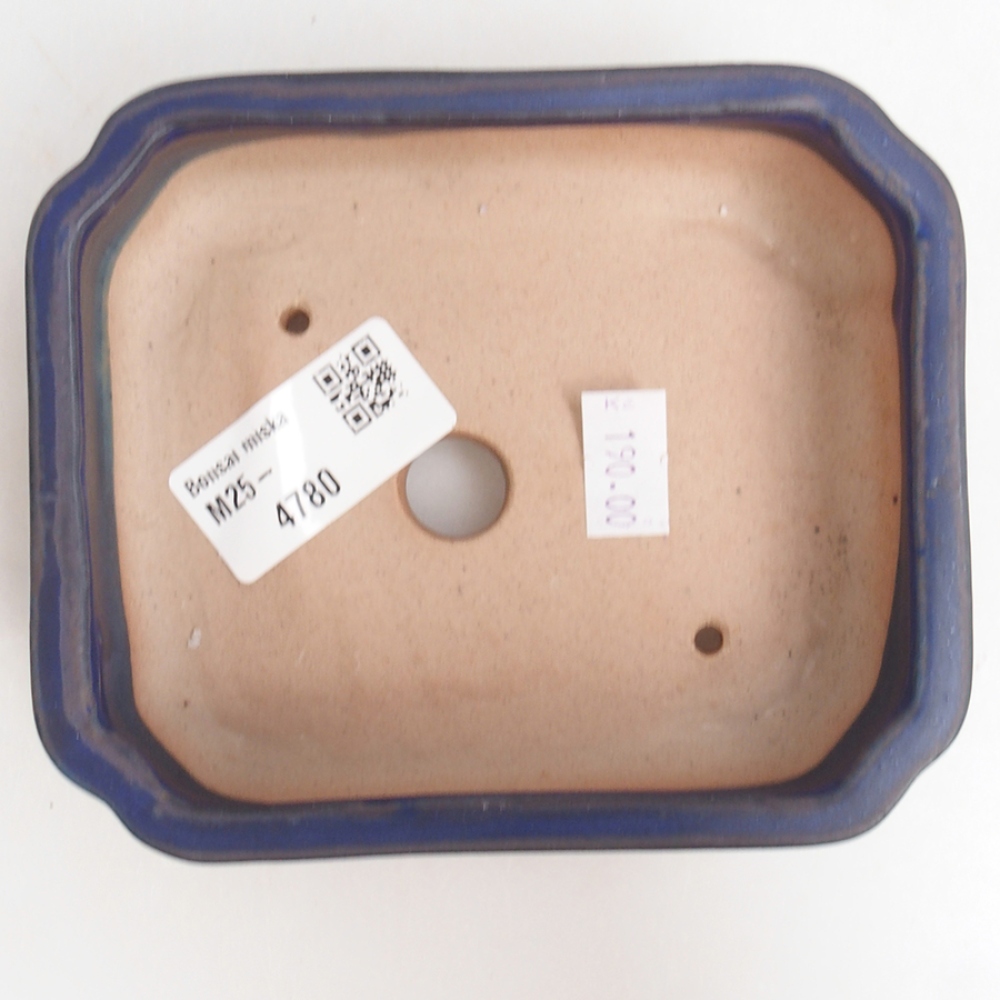 Cuenco bonsái de cerámica 12 x 10 x 4 cm, color azul