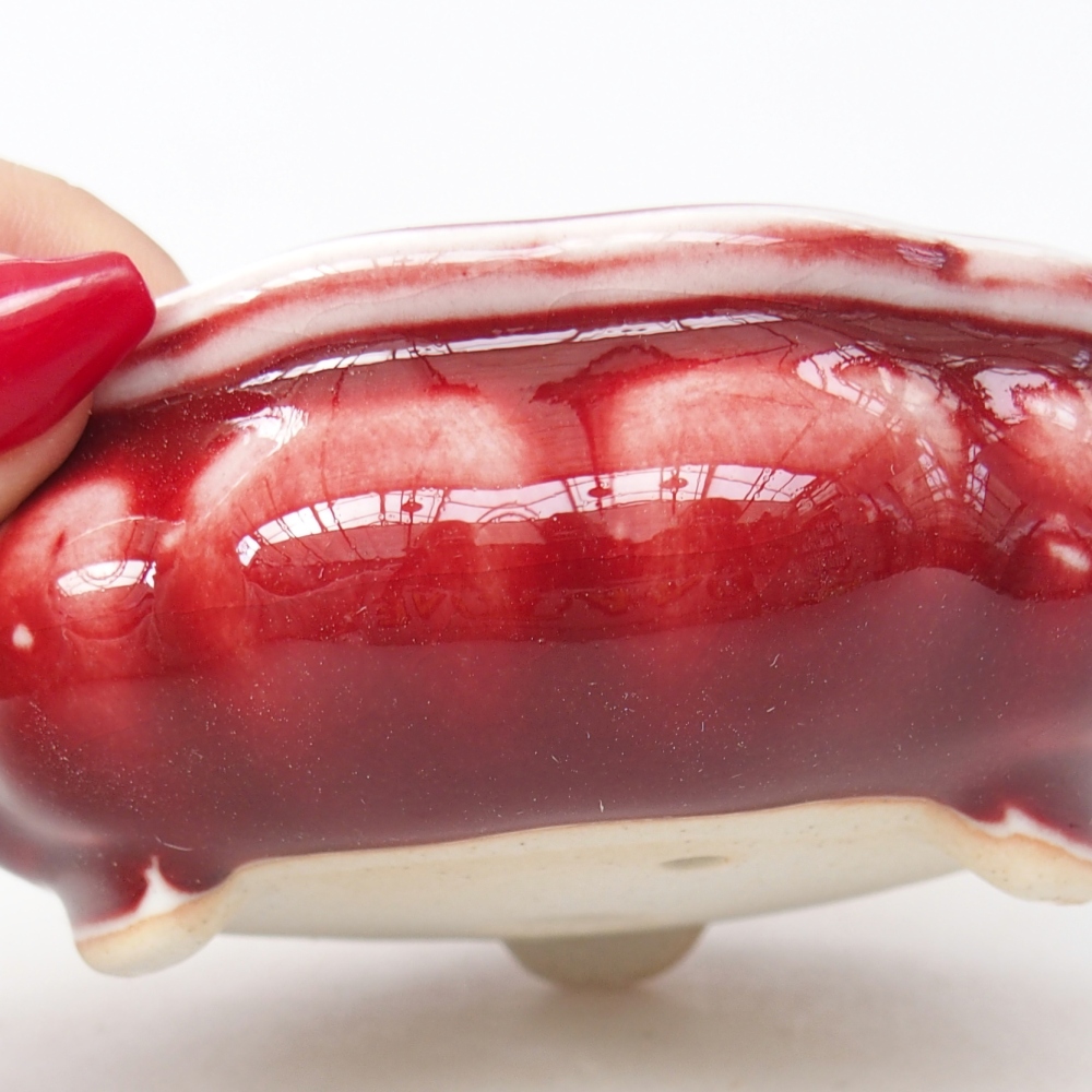 Cuenco bonsái de cerámica 10 x 10 x 4 cm, color rojo