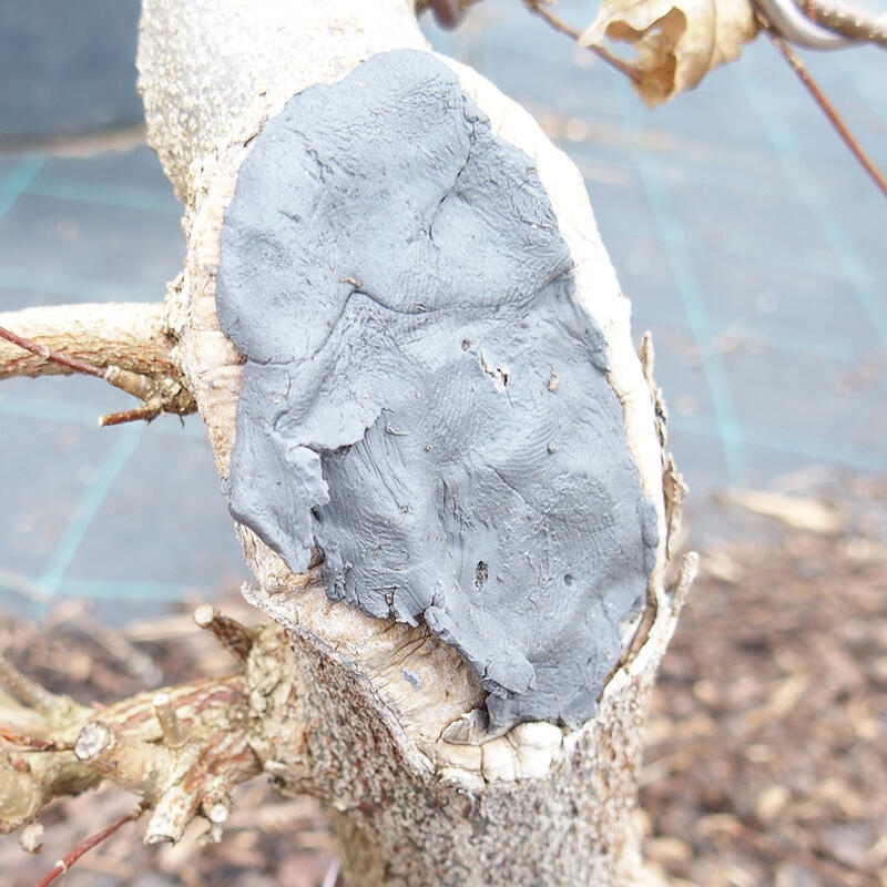 Cu-pasta 500 g para coníferas