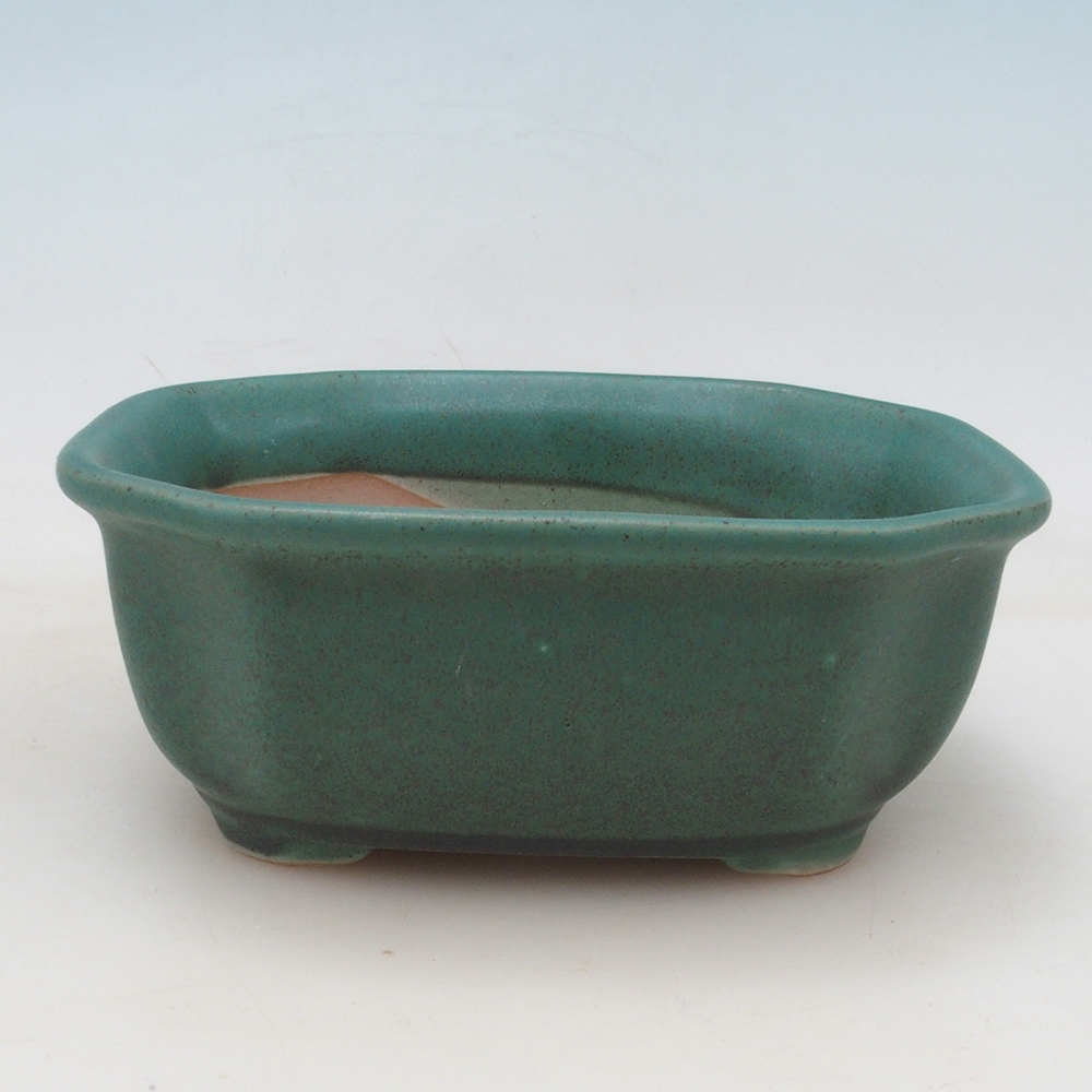 Bonsai cuenco + platillo H32 - verde