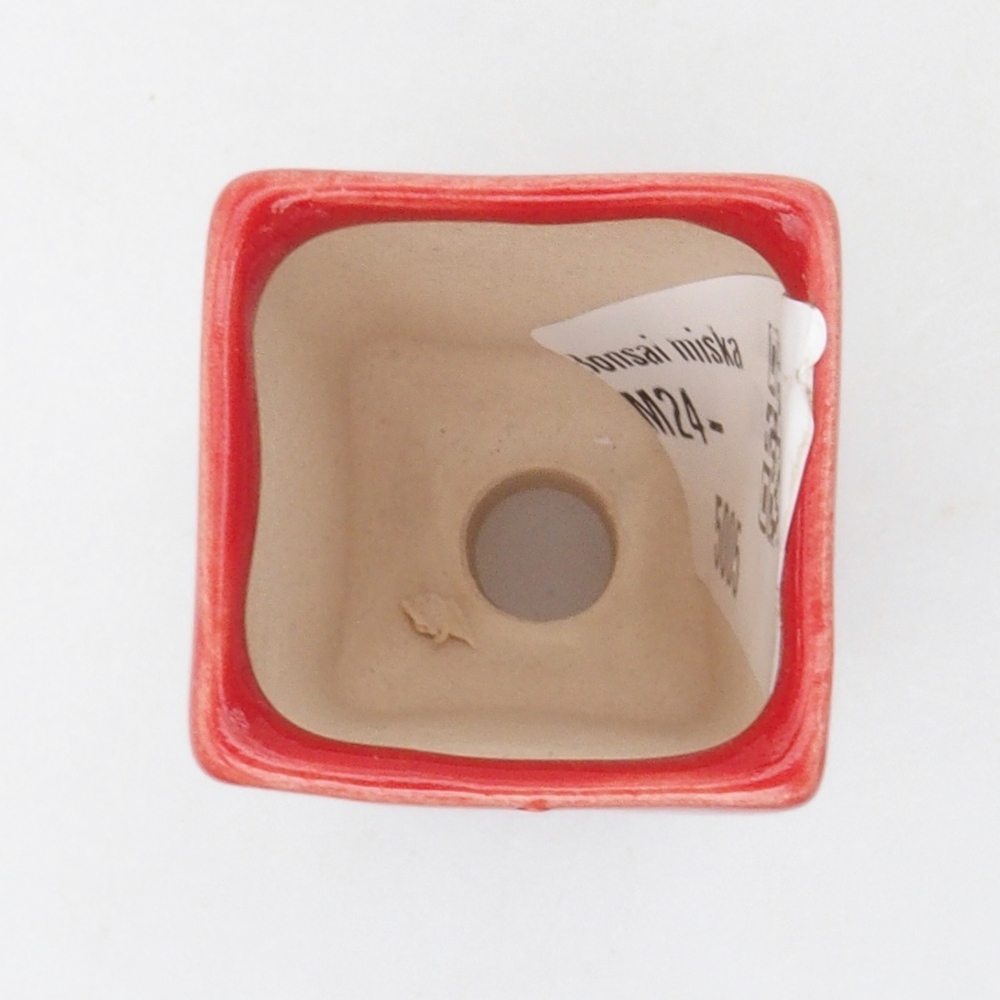 Mini cuenco bonsái 3 x 3 x 5,5 cm, color rojo