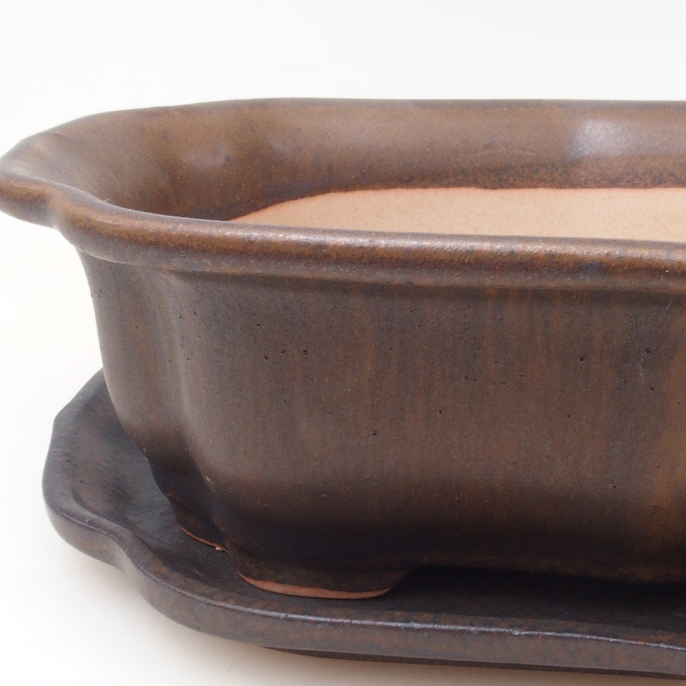 Cuenco bonsái + platillo H51 - 18x14x5 cm - marrón