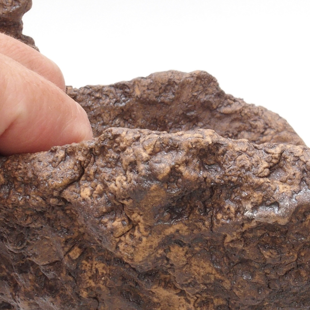 Concha de cerámica 16 x 16 x 16 cm , color marrón