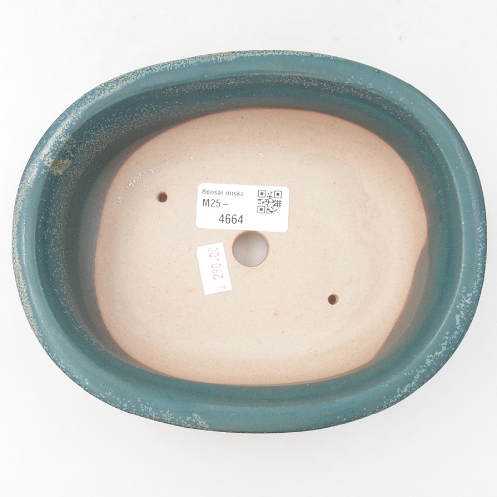 Cuenco bonsái de cerámica 18 x 14,5 x 6 cm, color azul