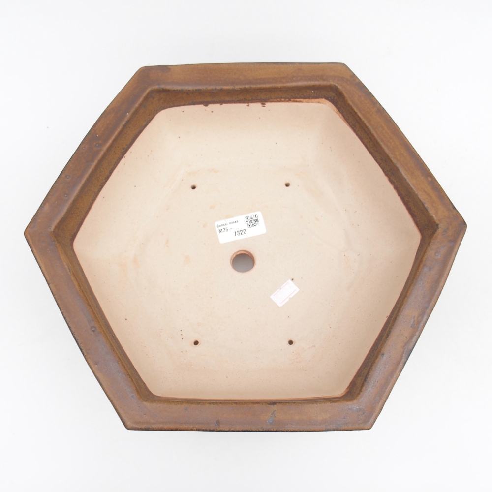 Cuenco bonsái de cerámica 32 x 28 x 10 cm, marrón