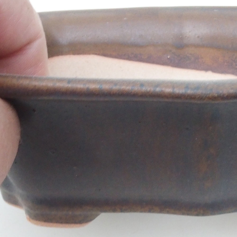 Cuenco bonsái H51 - 18 x 14 x 5 cm - marrón