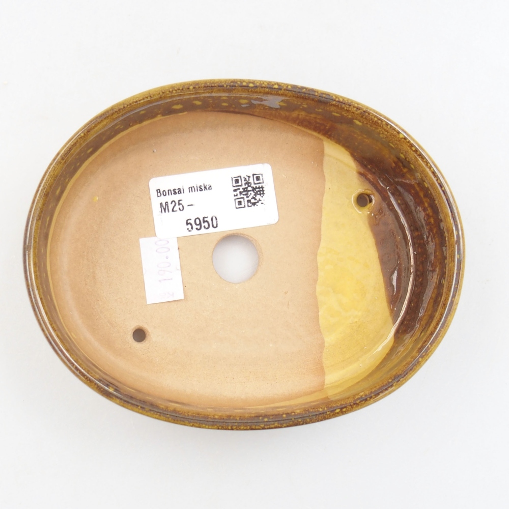 Cuenco bonsái de cerámica 22 x 17 x 5 cm, verde