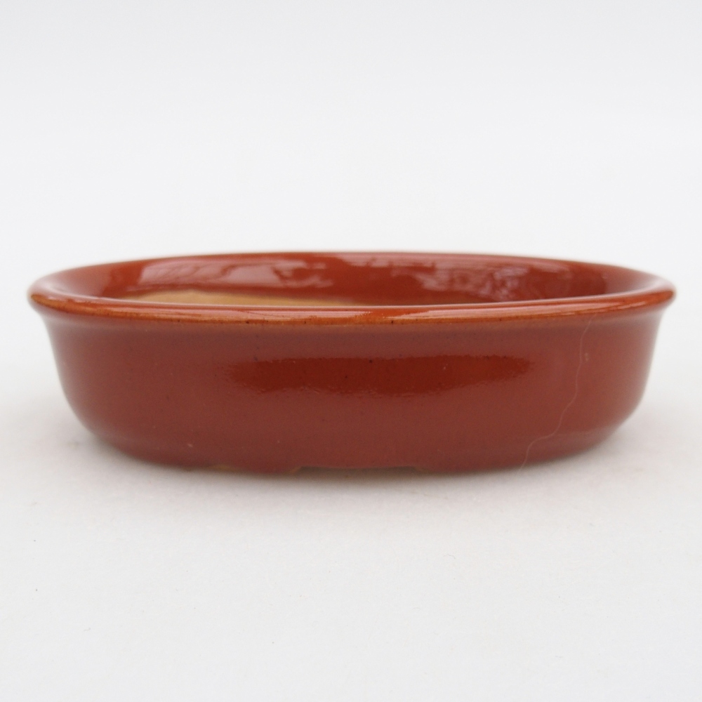 Cuenco bonsái de cerámica 12 x 8,5 x 3 cm, marrón