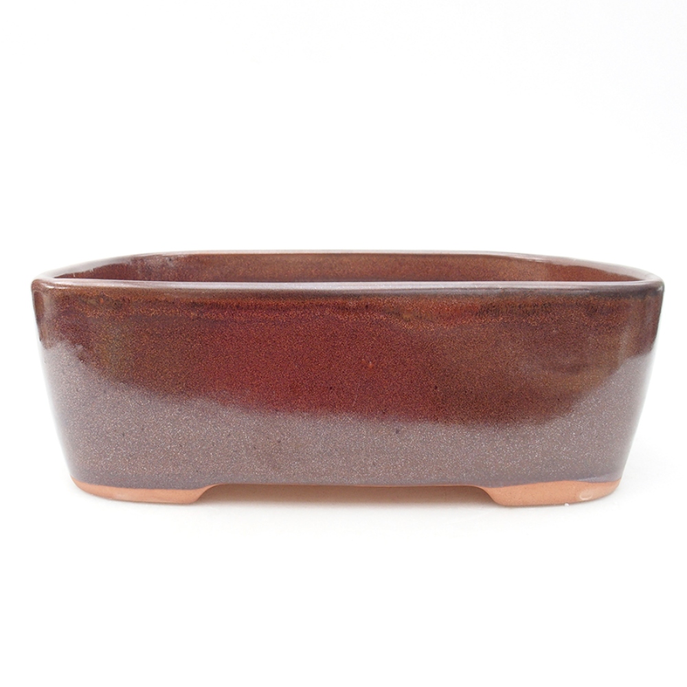 Cuenco bonsái de cerámica 23 x 18 x 7,5 cm, marrón