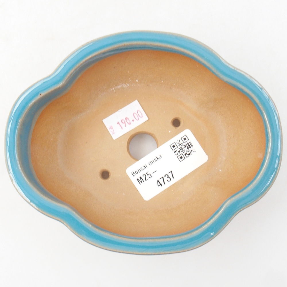 Cuenco bonsái de cerámica 12,5 x 10 x 4,5 cm, color azul