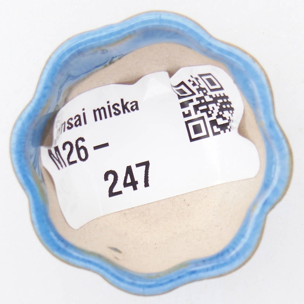 Cuenco mini bonsái 4 x 4 x 2 cm, azul