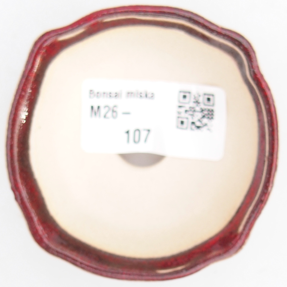 Cuenco mini bonsái 6,5 x 6,5 x 3 cm, color rojo