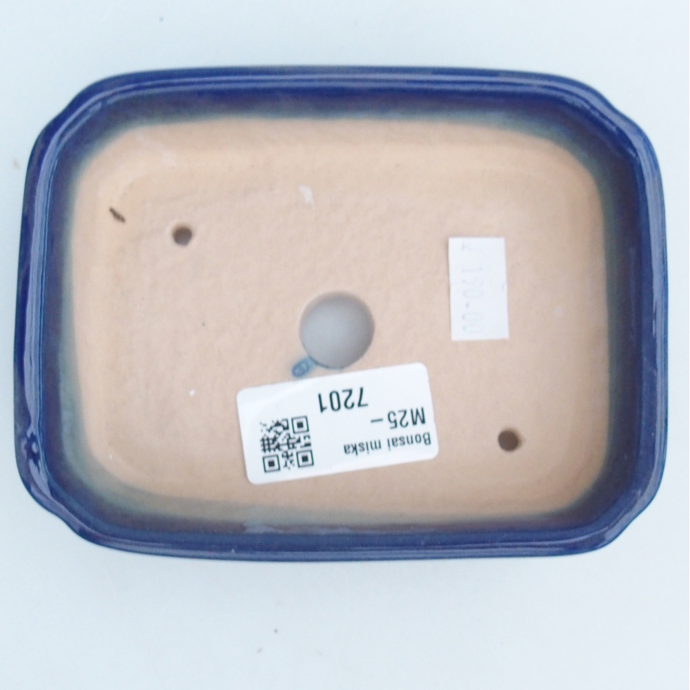 Cuenco bonsái de cerámica 12 x 9 x 3 cm, color azul