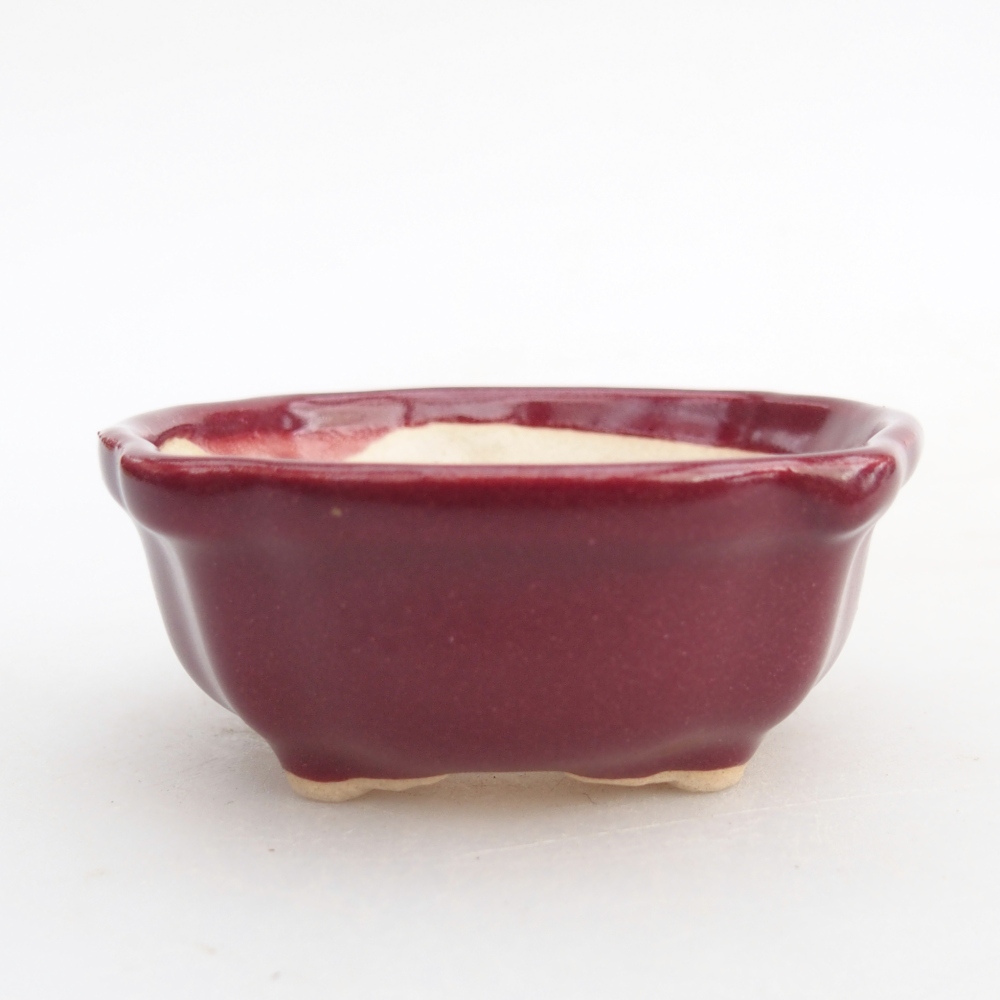 Cuenco mini bonsái 6,5 x 6,5 x 3 cm, burdeos