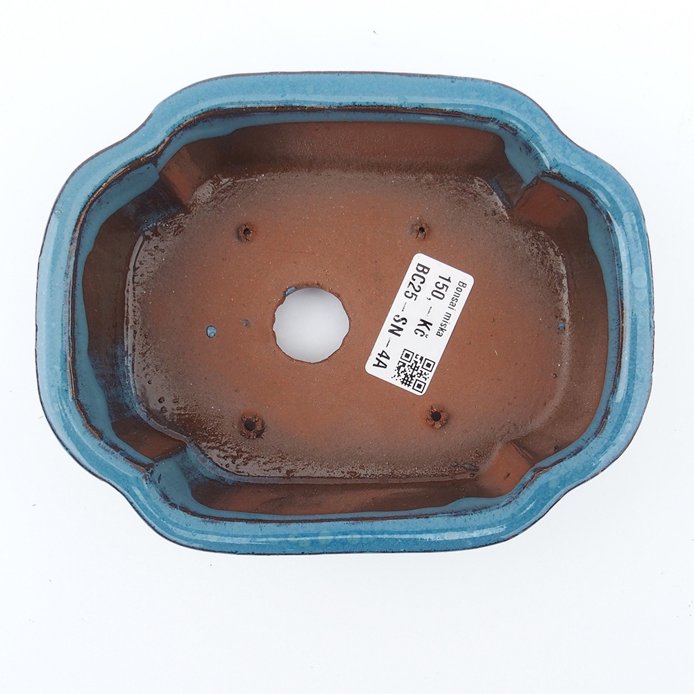 Bol 16 x 13 x 5,5 cm color azul