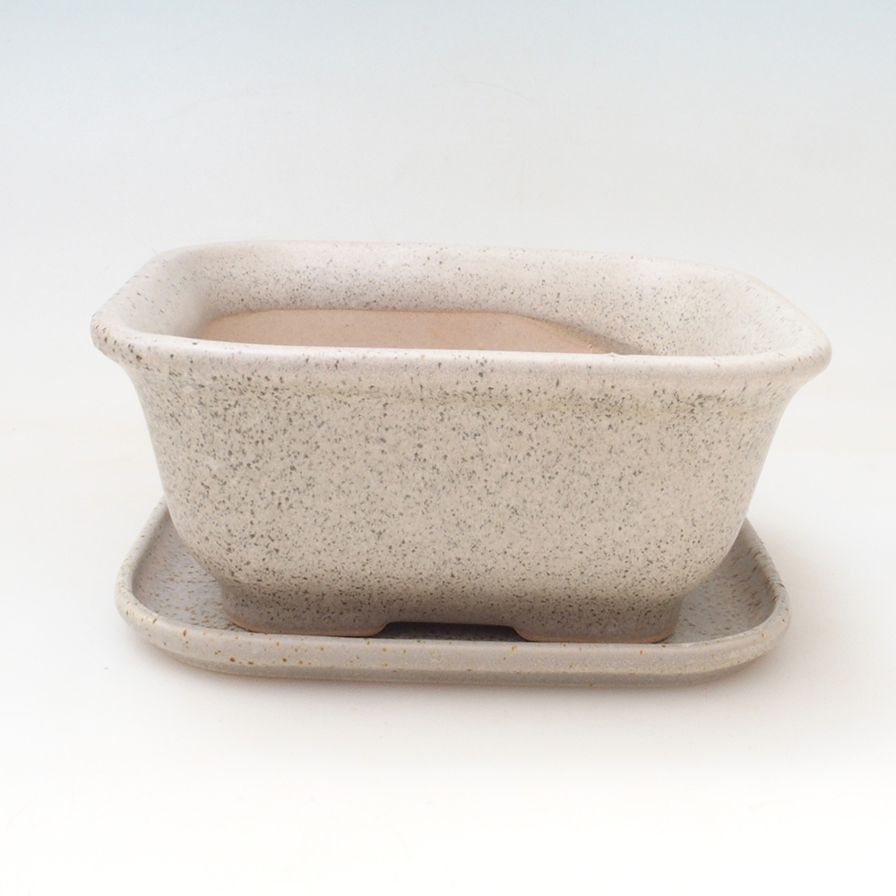 Cuenco bonsai + platillo H38 - 12x10x5,5 cm. - beige